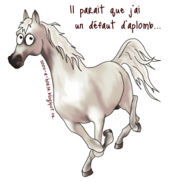 Les aplombs du cheval