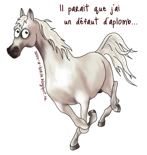 Dessin drôle aplombs cheval