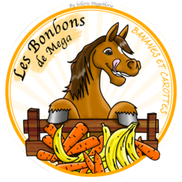 Les bonbons de' by la Sellerie Mega Horse