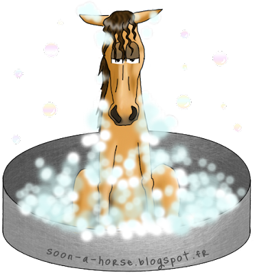 Mousse nettoyage de cheval dans une baignoire