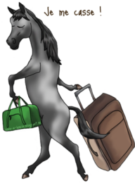 Changer votre cheval de pension : conseils