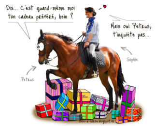 Des cadeaux pour passionnés d'équitation !