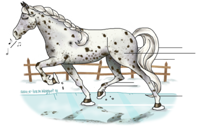 Les sabots et la neige