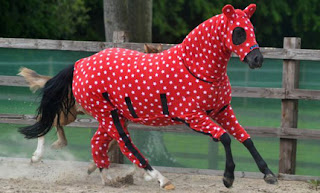 pyjama pour cheval