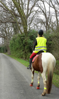 Code de la route et sécurité à cheval