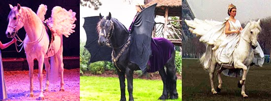 Exemple costumes pégase pour cheval