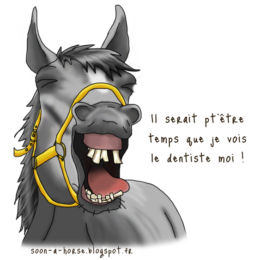 Dents de cheval, dentiste équin !