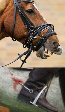 maltraitance cheval