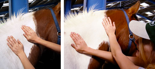 Massage cheval à faire soi-même