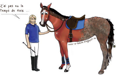 Le pansage du cheval