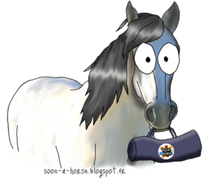 J'ai testé pour vous : le pansage by Equip'Horse