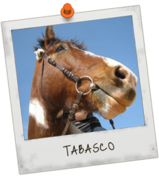 Joyeux anniversaire Tabasco !