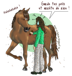 A poil, on est au poil ! La mue du cheval