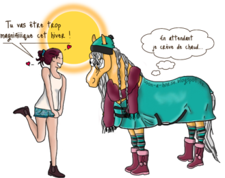 Bien préparer le cheval pour l'hiver