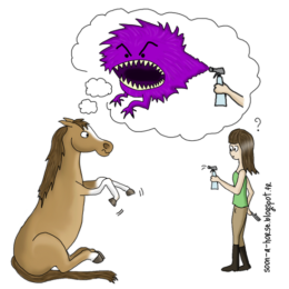 Mon cheval à peur du spray, que faire ?