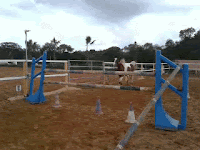 saut en liberté cheval