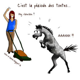 Les différentes tontes du cheval