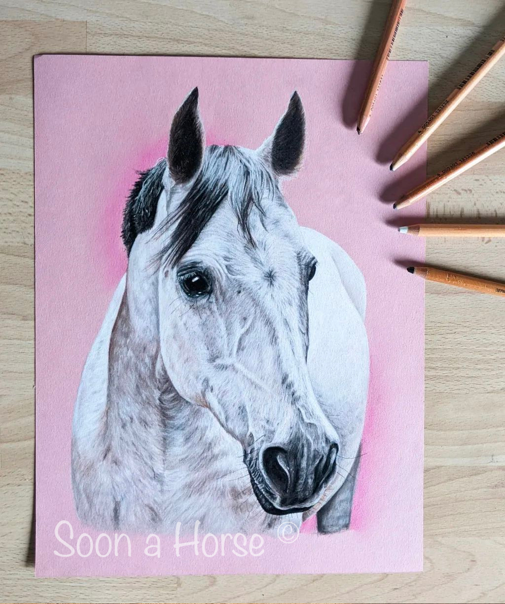 dessin pastels d'un cheval gris