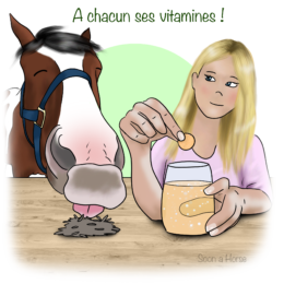 Cocktail vitaminé pour chevaux : le Nutrilife+ !