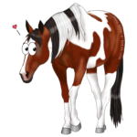 Dessin cheval paint horse