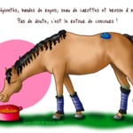 Dessin rituel de soin pour les concours d'équitation