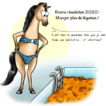 Bonnes résolutions equestres cheval