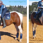 Equi Theme JEM