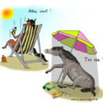 Dessin cheval qui se met à l'ombre