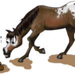 Dessin d'un cheval qui regarde son crottin suite à un vermifuge