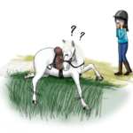 Cheval tombe dans un fossé