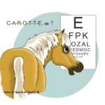 dessin d'un cheval lisant des lettres pour vérifier sa vue