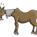 Dessin vieux cheval 
