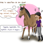 Personnalité du cheval horsenality